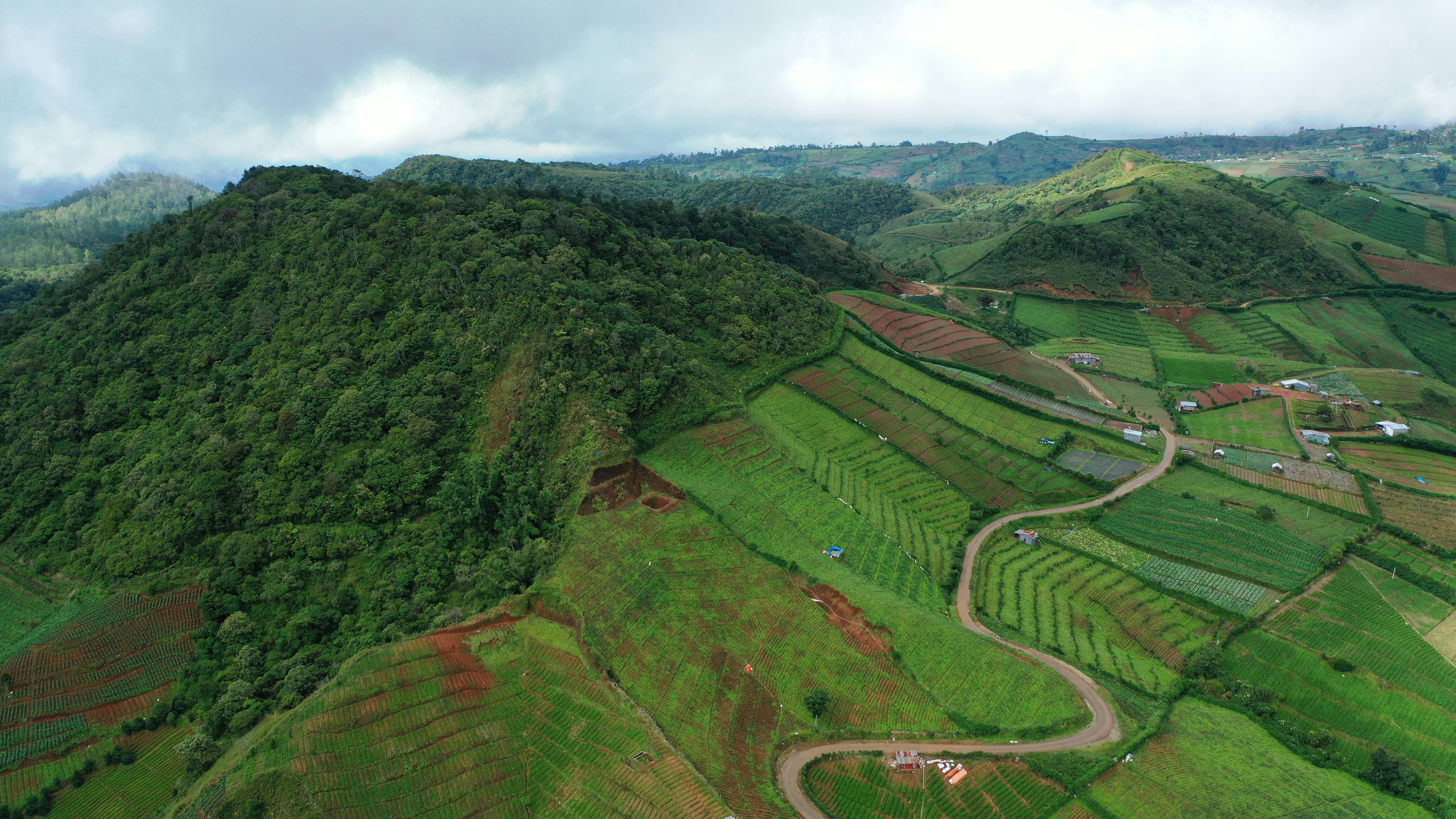 The Rise of Traceable Single-Origin Coffee